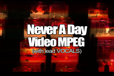 15 NEVER A DAY MPEG Video